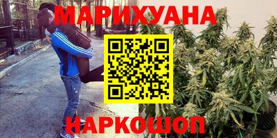 прущие крисы Ипатово
