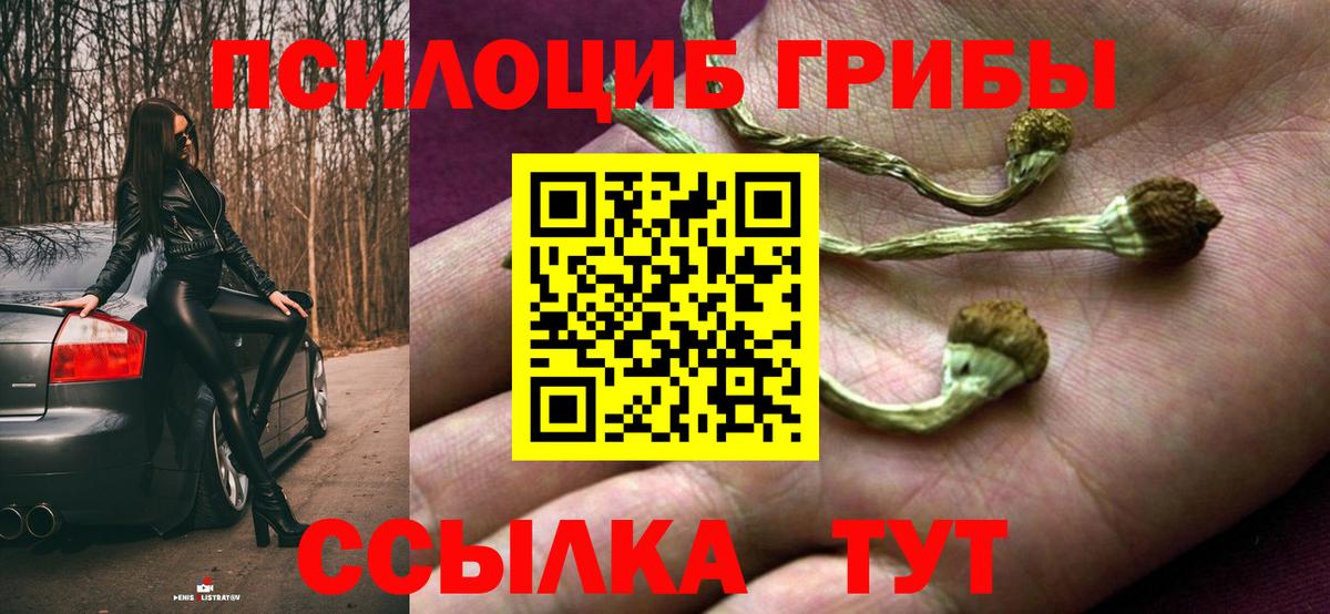 Галлюциногенные грибы мицелий  Вход с VPN  Луга  Галлюциногенные грибы Magic Shrooms 